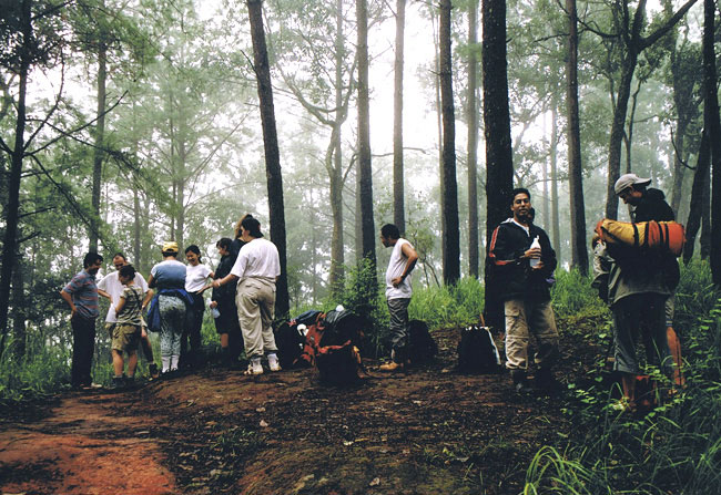selva-1 selva 1