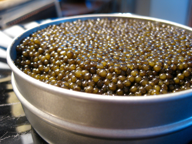 Caviar