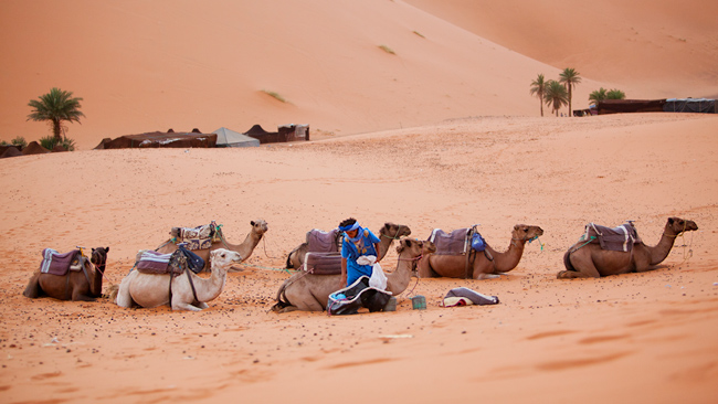 Desierto de Erg Chebbi