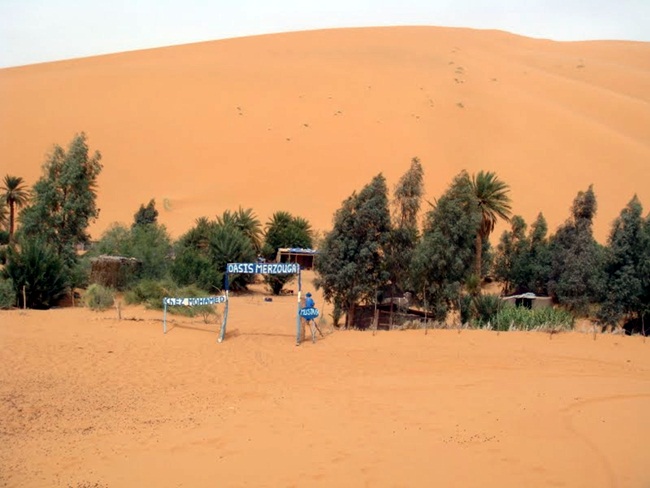 Oasis desierto Erg Chebbi