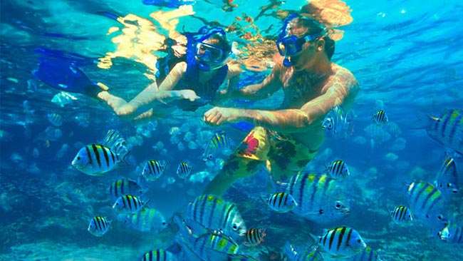 Snorkel en la caleta del río Xel-Há, en Riviera Maya